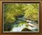 Terry Evans, escena del árbol del río, 1995, pintura al óleo de Impasto, enmarcado, Imagen 13