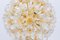 Spektakulärer Murano Glas Kronleuchter mit Sonnenblumen von Venini VeArt, Italien 1970er 2