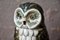 Ceramic Owl by Denise Picard, France, 1940s 4