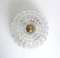 Ceiling Light or Sconce in Glass & Brass from Limburg, Germany, 1960s 4