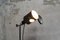 Teleskopische Stehlampe im Industriestil, Italien, 1950er 4