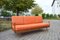 Walnut Antimott Daybed or Sofa from Wilhelm Knoll, 1960s 5