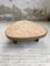 Ceramic Coffee Table from Barrois 24