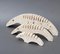 Travertine Anteater Cardholders by Mannelli Brothers, 1970s, Set of 3 4