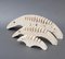 Travertine Anteater Cardholders by Mannelli Brothers, 1970s, Set of 3, Image 4
