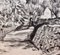 Pierre Dionisi, El olivo detrás del muro de piedra, años 30, Tinta sobre papel, Enmarcado, Imagen 13