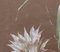Pierre Roy, Desert Flower, anni '30, Guazzo su carta, con cornice, Immagine 7