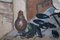 Charles Réal, Still Life with Pitcher, 1950s, Oil on Paper, Framed, Image 13