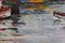 Gervais Leterreux, El puerto de Honfleur, 1993, óleo sobre lienzo, Imagen 16
