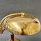 Mid-Century Italian Brass Table Lamp with Swivel Arm, 1950s 12