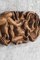 Carved Wooden Wall Sculpture by Preben P., Denmark, 1993, Image 13