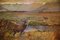 Alfred Singer, Paesaggio con cervi, 1917, Olio su tela, Immagine 3