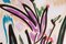 Romina Milano, Purple Tulips, 2023, Acrylic on Paper, Image 7