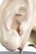 Modelo anatómico de escayola de oído humano, años 60, Imagen 7