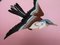 19. Jh. Japanische Dekorative Teller aus rosa Cloisonne mit Vogeldekor, 2 . Set 5