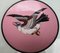19. Jh. Japanische Dekorative Teller aus rosa Cloisonne mit Vogeldekor, 2 . Set 3