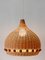 Lampe à Suspension Tulipe Mid-Century Moderne en Rotin, Allemagne, 1960s 6