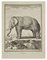 Jean Charles Baquoy, L'Elephant, Eau-forte, 1771 1