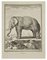 Jean Charles Baquoy, L'Elephant, Radierung, 1771 1