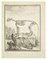 Claude Jardinier, El esqueleto, Aguafuerte, 1771, Imagen 1
