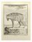 Jean Charles Baquoy, hiena, grabado, 1771, Imagen 1