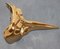 Gold Bronze Venice Carnival Mask, 1960s 15