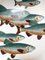 Mid-Century Modern Fish Plates by Piero Fornasetti, Italy, 1955, Set of 6 5