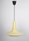 Opal Glass Pendant Light from Peill & Putzler, Germany, 1970s 4