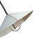 Large Rise & Fall Pendant Lamp from Dijkstra Lampen 5