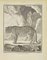 Jean Charles Baquoy, La Panthere, grabado, 1771, Imagen 1