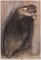 Studio di signora, 1890, Carboncino su carta, Immagine 1