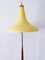 Mid-Century Modern Floor Lamp, Austria, 1960s 3