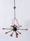 Exceptional Twelve-Flamed Sputnik Chandelier, Austria, 1950s 5