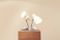 Dutch Infraphil Lamps by Charlotte Perriand for Philips, 1950s, Set of 2, Image 2