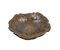 Vintage Bronze Shell Bowl, Image 1