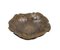 Vintage Muschelschale aus Bronze 1