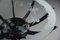 Schwarzer Italienischer Mid-Century Couchtisch mit Spinnenbein von Carlo De Carli, 1950 3