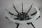 Mid-Century Italian Black Coffee Table with Spider Leg by Carlo De Carli, 1950, Image 11