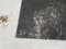 Albero in bianco e nero, anni '60, grande stampa fotografica, Immagine 29