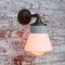 Lámpara de pared vintage con brazos de vidrio opalino, latón y hierro fundido, Imagen 6