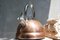 Copper Plated Teapot in Stainless Steel 3