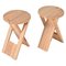 Mid-Century French TS Folding Stools by Roger Tallon for Sentou, 1970s, Set of 2, Image 1