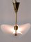 Acrylic Glass and Brass Ceiling Lamp, Germany, 1960s 13