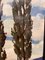 Viale degli alberi, dipinto a olio, anni '20, con cornice, Immagine 3