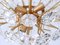 Mid-Century Modern Crystal Chandelier by Christoph Palme Germany 1970s, Image 16