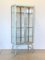 Vintage Vitrine aus Eisen, 1960er 1