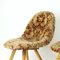 Mid-Century Shell Chairs by Miroslav Navratil, Former Czechoslovakia, 1960s, Set of 2, Image 11