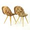 Mid-Century Shell Chairs by Miroslav Navratil, Former Czechoslovakia, 1960s, Set of 2 10