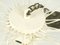 Kronleuchter aus Muranoglas von Toni Zuccheri für Venini, 1960er 12