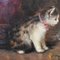 J. Laurent, Perros y gatos, 1880, óleo sobre lienzo, Imagen 6